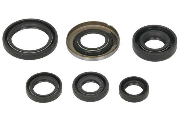 Set garnituri pentru motor WINDEROSA 822278 