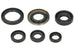 Set garnituri pentru motor WINDEROSA 822278 