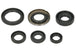 Set garnituri pentru motor WINDEROSA 822278 