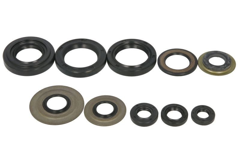 Set garnituri pentru motor WINDEROSA 822279 