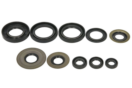 Set garnituri pentru motor WINDEROSA 822279