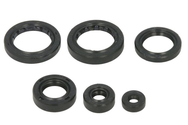 Set garnituri pentru motor WINDEROSA 822310