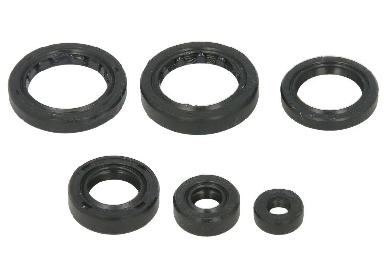 Set garnituri pentru motor WINDEROSA 822310 