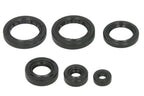 Set garnituri pentru motor WINDEROSA 822310 