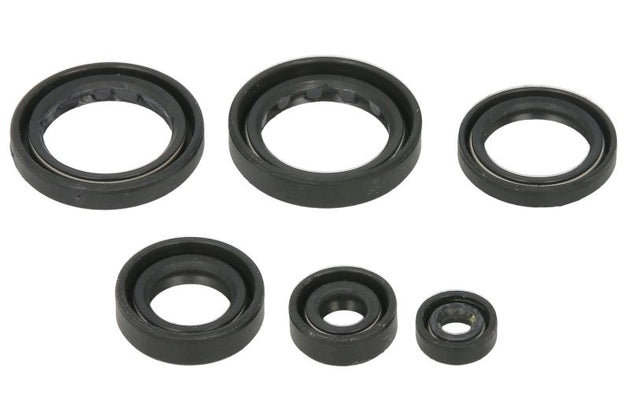 Set garnituri pentru motor WINDEROSA 822310