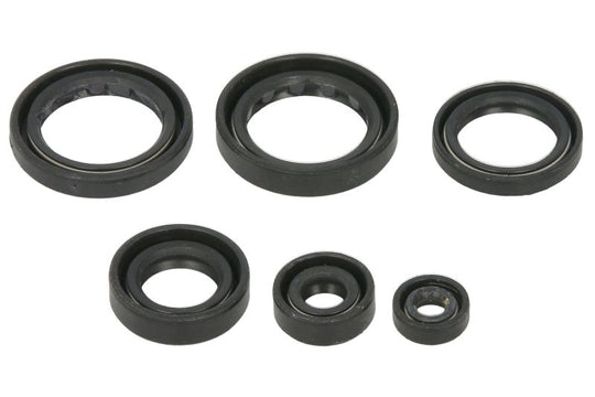 Set garnituri pentru motor WINDEROSA 822310 