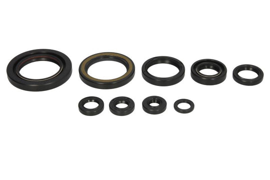 Set garnituri pentru motor WINDEROSA 822312 