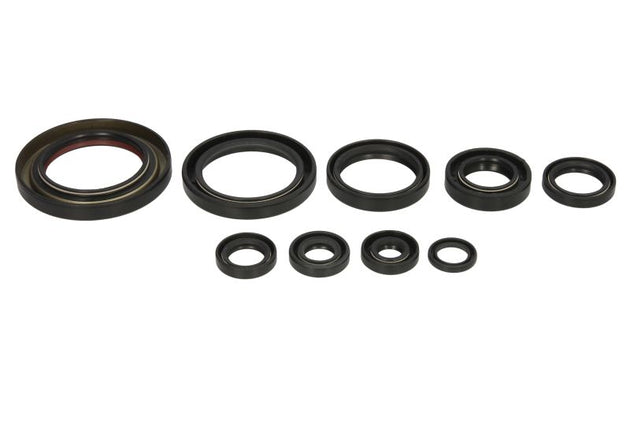 Set garnituri pentru motor WINDEROSA 822312 
