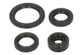 Set garnituri pentru motor WINDEROSA 822314 