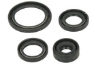 Set garnituri pentru motor WINDEROSA 822314 