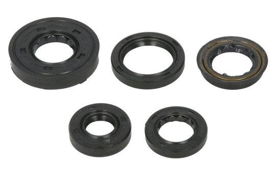 Set garnituri pentru motor WINDEROSA 822322 