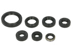 Set garnituri pentru motor WINDEROSA 822323 