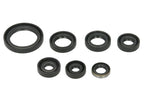 Set garnituri pentru motor WINDEROSA 822323 
