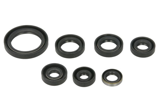 Set garnituri pentru motor WINDEROSA 822323 