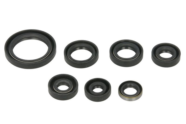Set garnituri pentru motor WINDEROSA 822323 