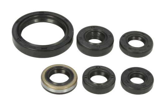 Set garnituri pentru motor WINDEROSA 822334 