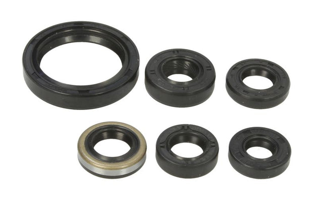 Set garnituri pentru motor WINDEROSA 822334 