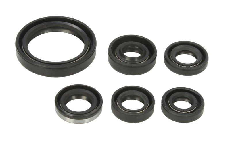 Set garnituri pentru motor WINDEROSA 822334 