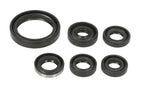 Set garnituri pentru motor WINDEROSA 822334 