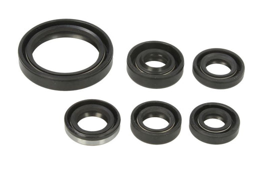Set garnituri pentru motor WINDEROSA 822334 