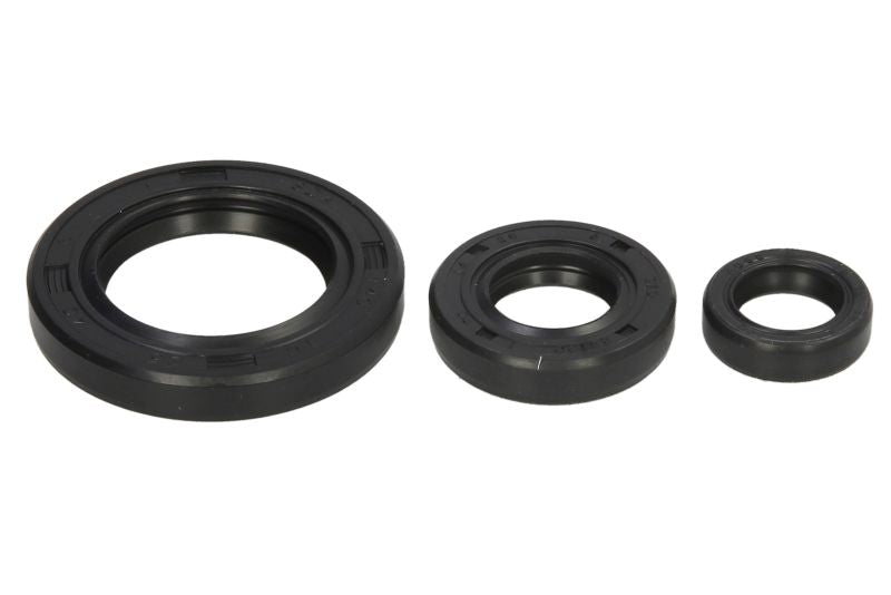 Set garnituri pentru motor WINDEROSA 822339