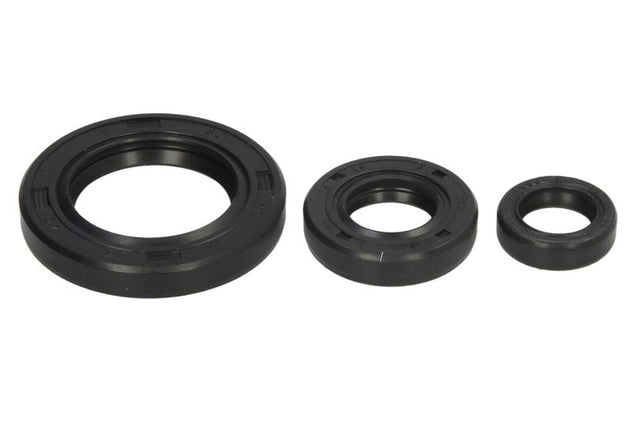 Set garnituri pentru motor WINDEROSA 822339