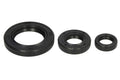 Set garnituri pentru motor WINDEROSA 822339 