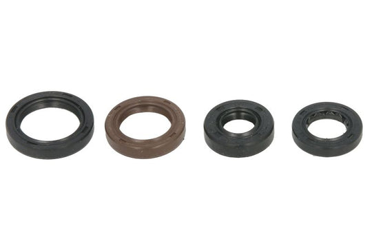 Set garnituri pentru motor WINDEROSA 822340 