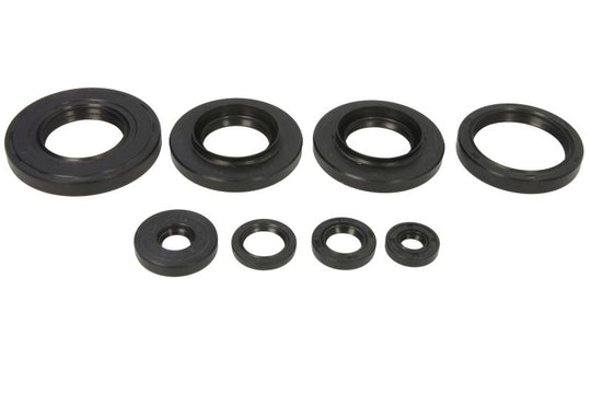 Set garnituri pentru motor WINDEROSA 822349 