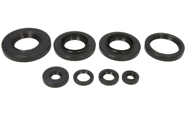Set garnituri pentru motor WINDEROSA 822349 