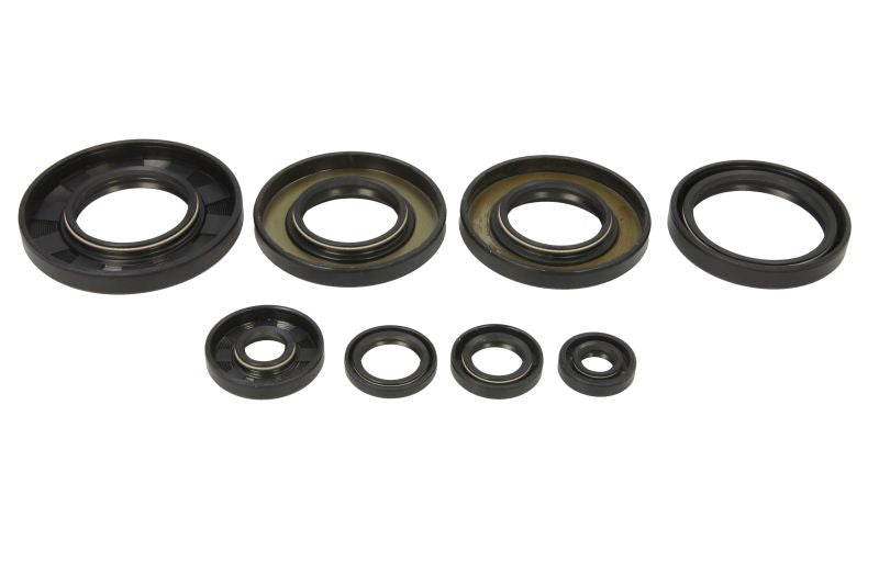 Set garnituri pentru motor WINDEROSA 822349 