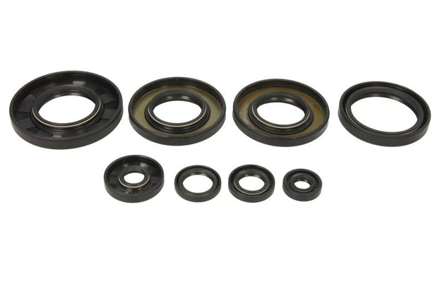 Set garnituri pentru motor WINDEROSA 822349 