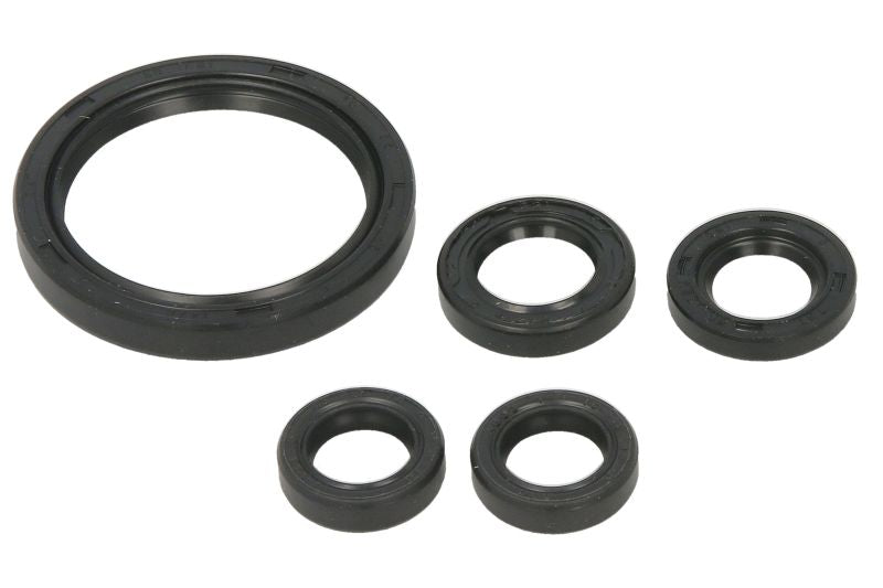 Set garnituri pentru motor WINDEROSA 822350 