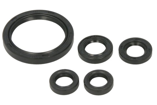Set garnituri pentru motor WINDEROSA 822350 