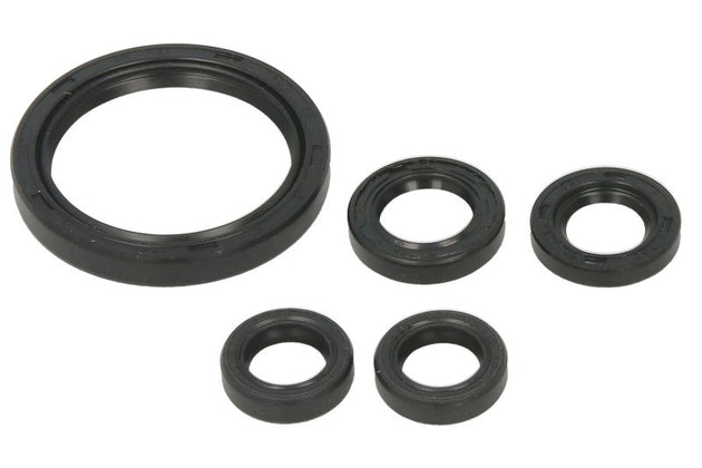 Set garnituri pentru motor WINDEROSA 822350 