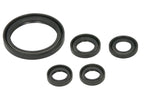 Set garnituri pentru motor WINDEROSA 822350 