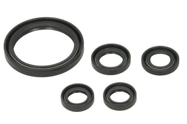 Set garnituri pentru motor WINDEROSA 822350 