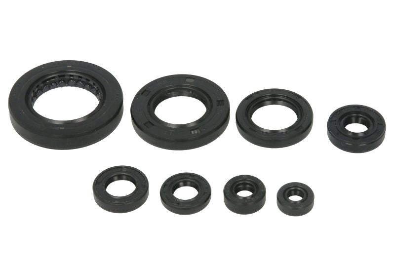 Set garnituri pentru motor WINDEROSA 822351 