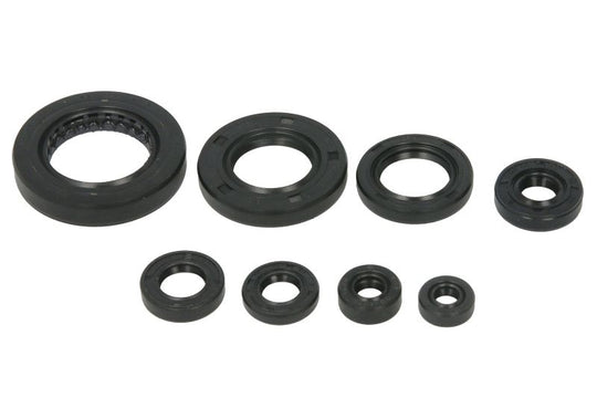 Set garnituri pentru motor WINDEROSA 822351 