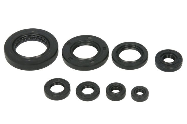 Set garnituri pentru motor WINDEROSA 822351 