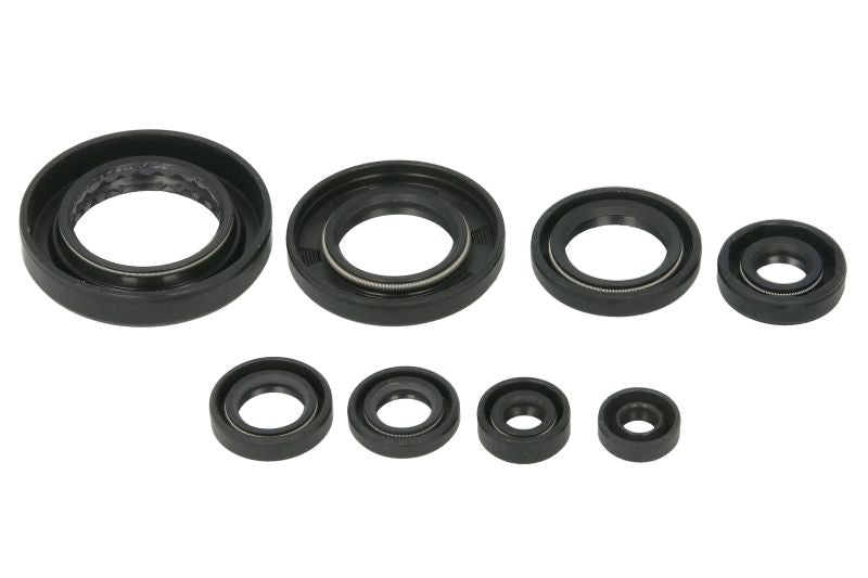 Set garnituri pentru motor WINDEROSA 822351 