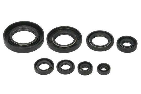 Set garnituri pentru motor WINDEROSA 822351 