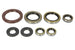 Set garnituri pentru motor WINDEROSA 822364 