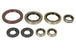 Set garnituri pentru motor WINDEROSA 822364 