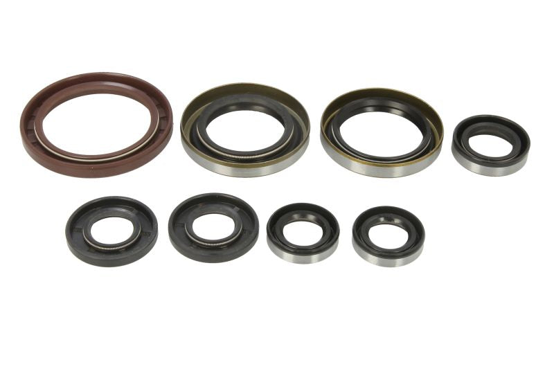 Set garnituri pentru motor WINDEROSA 822364 