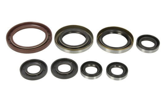 Set garnituri pentru motor WINDEROSA 822364 