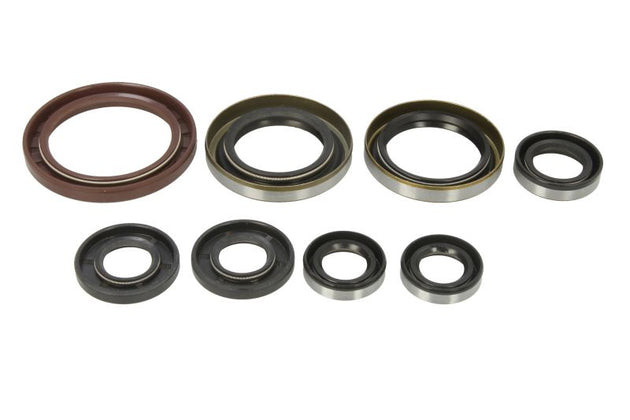 Set garnituri pentru motor WINDEROSA 822364 