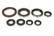 Set garnituri pentru motor WINDEROSA 822364 