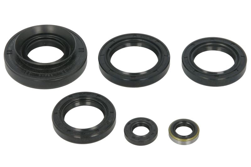 Set garnituri pentru motor WINDEROSA 822366 