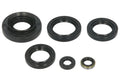 Set garnituri pentru motor WINDEROSA 822366 